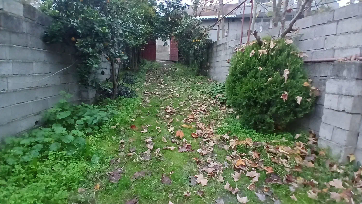 لنگرود کومله شهر توریستی اطاقور.. ویلا سند دار|فروش خانه و ویلا|لنگرود, |دیوار