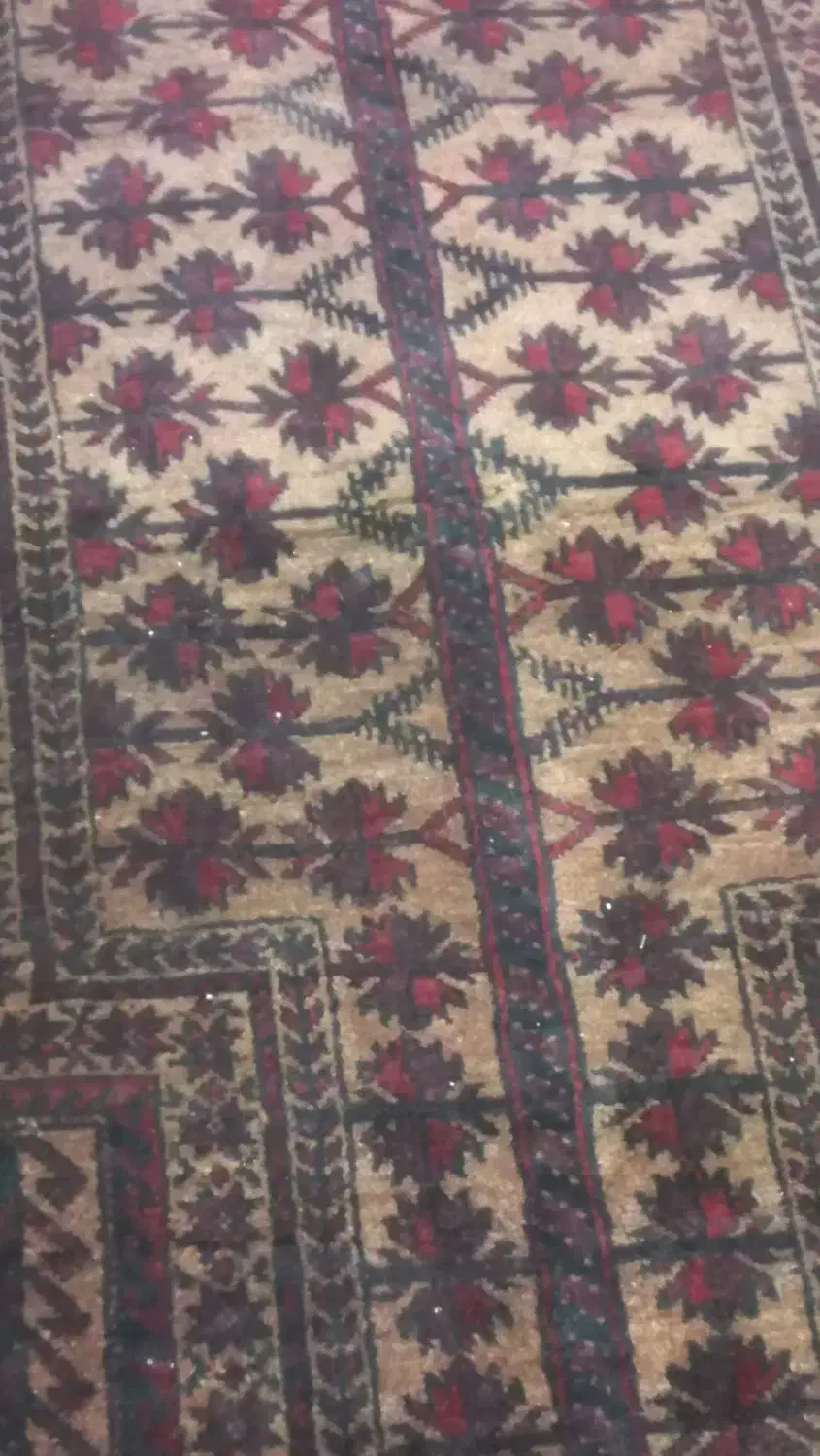 قالیچه دست بافت|فرش|مشهد, طبرسی شمالی|دیوار