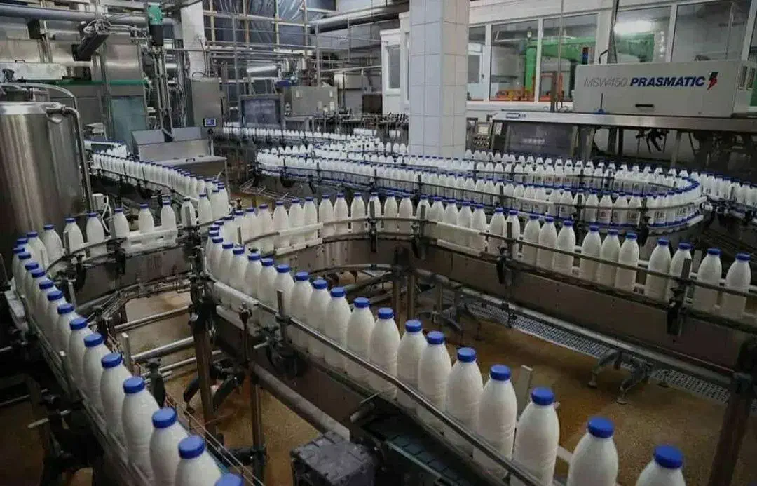 کارخانه لبنیات ( فروش با کلیه تجهیزات ) سند تک برگ|فروش دفتر صنعتی، کشاورزی، تجاری|تهران, عباسآباد|دیوار