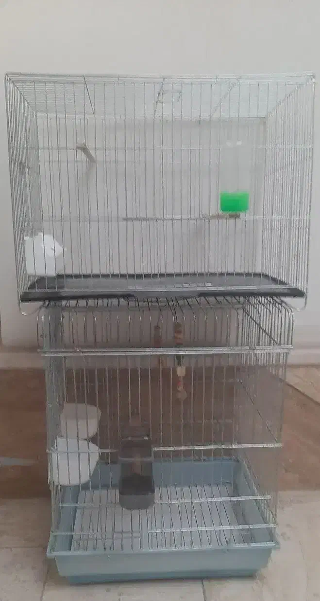 قفس عروس هلندی و سهره ...|لوازم جانبی حیوانات|فردیس, فردیس|دیوار