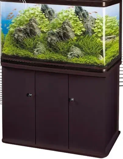 اکواریوم شیشه خم ۶۰ سانتی|ماهی|گلپایگان, |دیوار