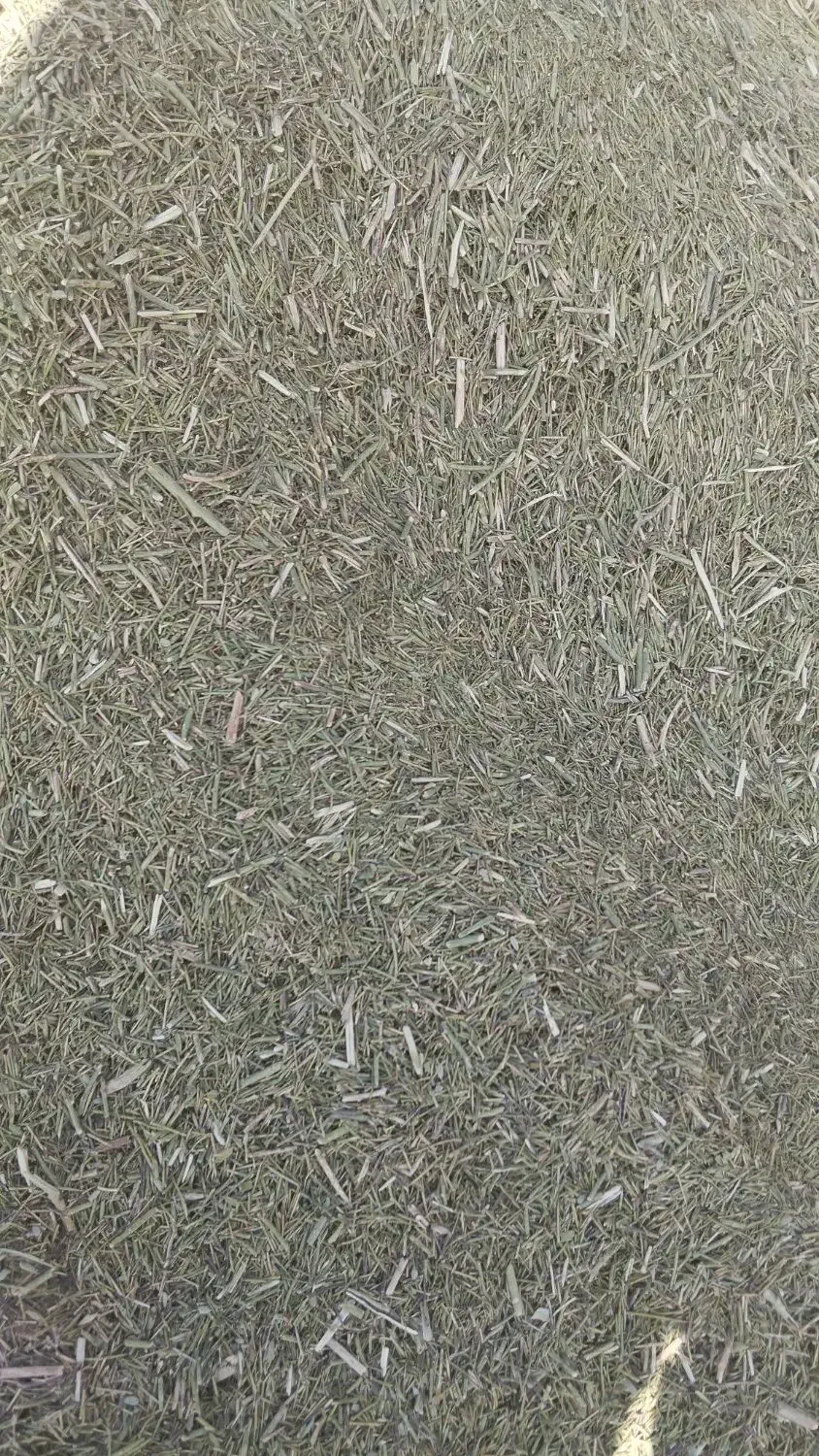 خارشتر کیلویی 11|حیوانات مزرعه|عطاملک, |دیوار