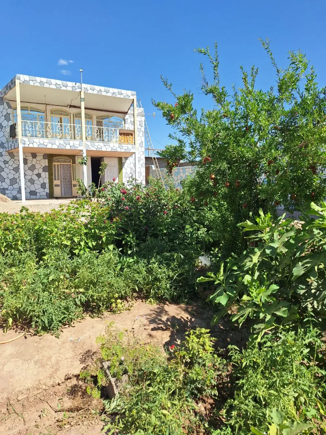 فروش باغ ویلا جاده بار روستای قالیباف|فروش خانه و ویلا|فیروزه, |دیوار