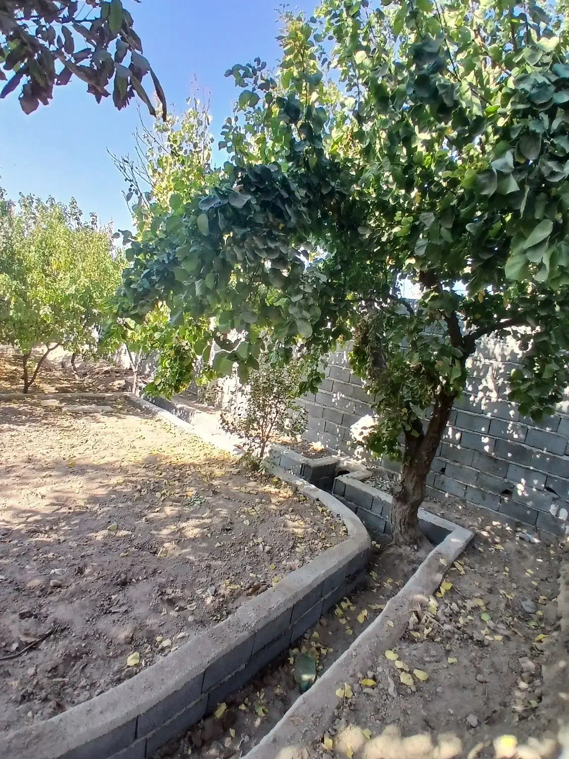 باغچه چهار دیواری به مساحت ۸۸۰مترمربع|فروش زمین و ملک کلنگی|رباط‌کریم, شهرک صنعتی صباشهر|دیوار