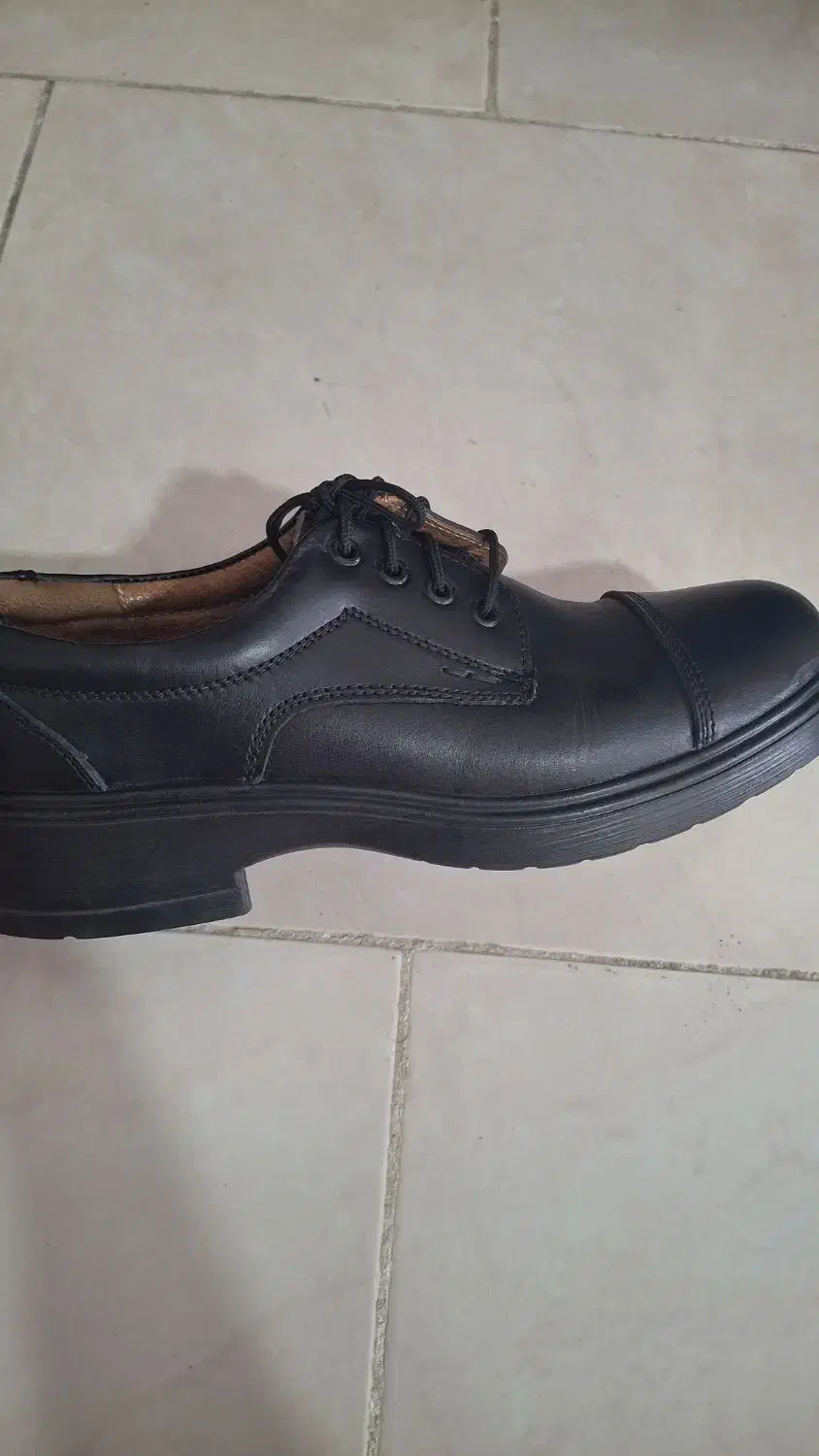 کفش چرم نو|کیف، کفش، کمربند|آمل, |دیوار