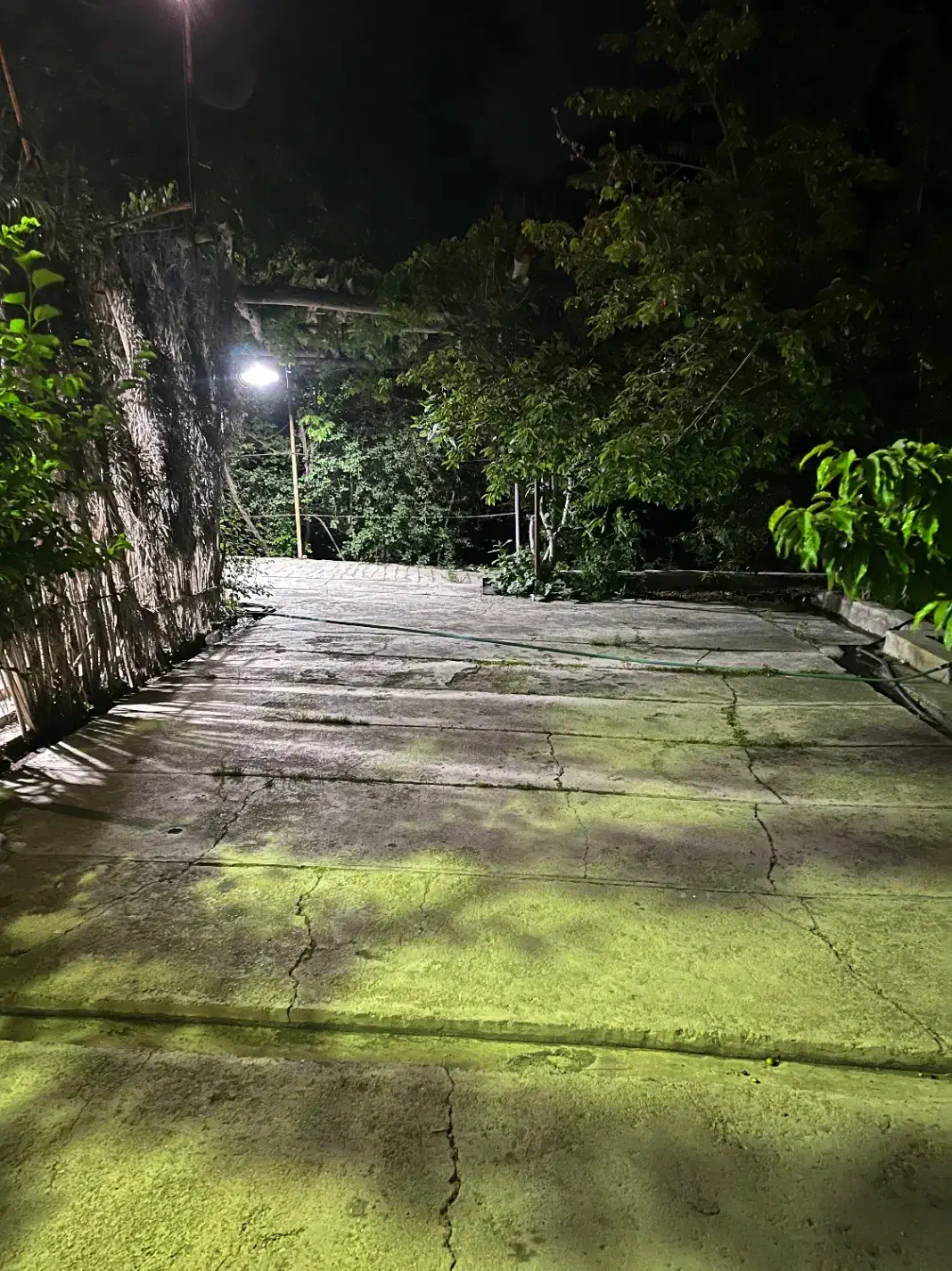 اجاره خونه باغ|اجارهٔ کوتاه‌مدت ویلا و باغ|ماهان, |دیوار