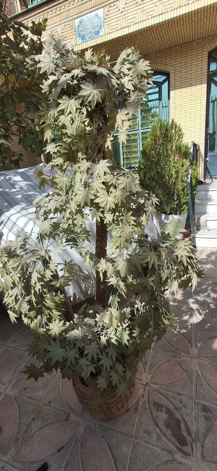 درخت مصنوعی|گل مصنوعی|شیراز, شهرک گلدشت حافظ|دیوار