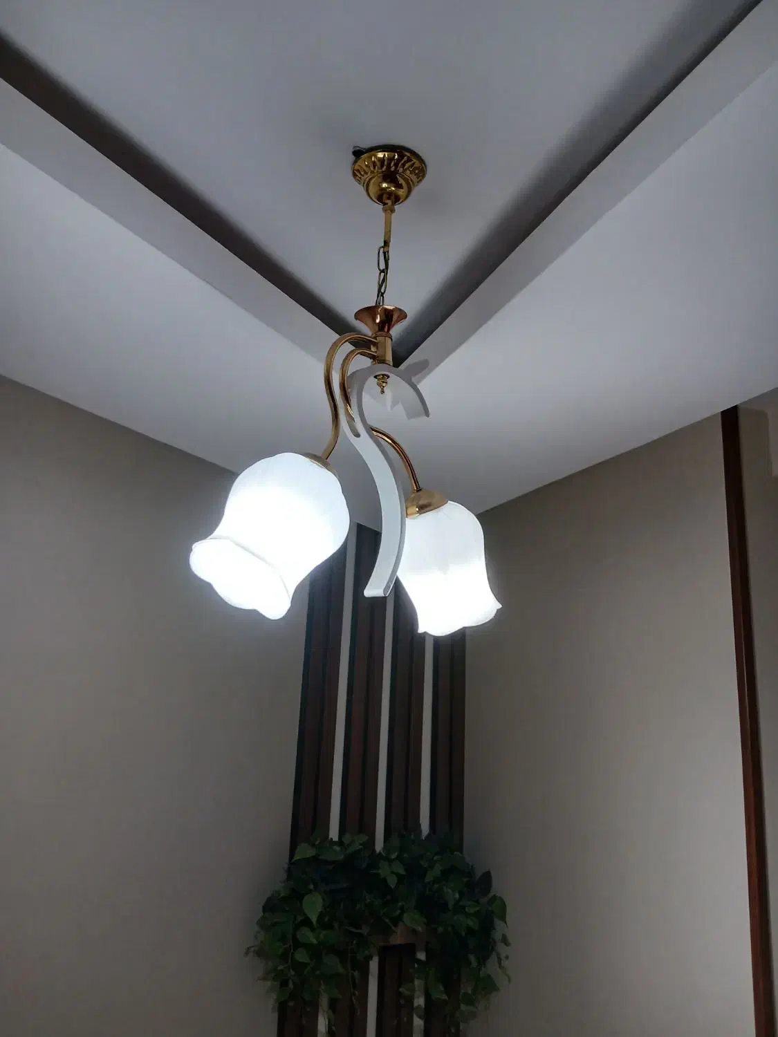 دو عدد لوستر سقفی|لوستر و چراغ آویز|شاهینشهر, مخابرات (شهید بهشتی)|دیوار