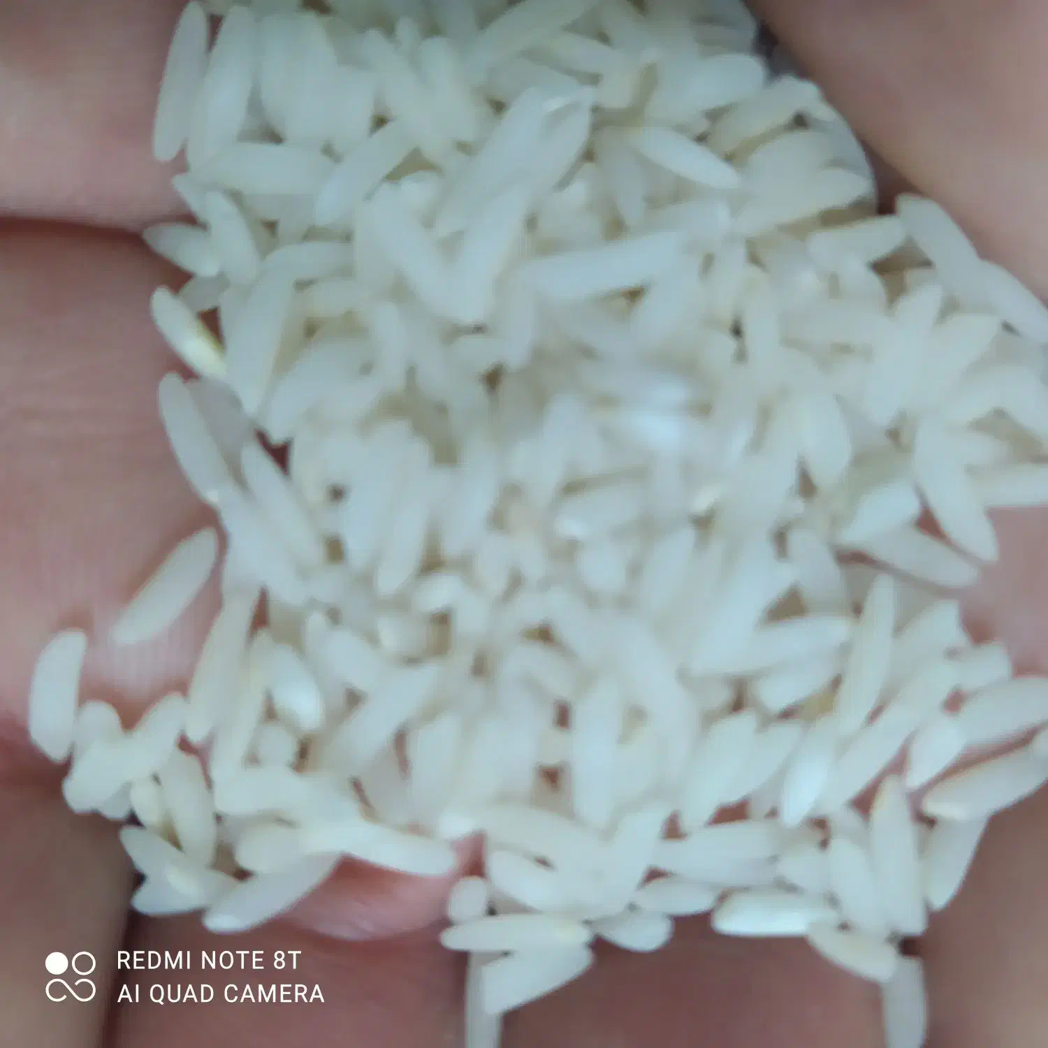 فروش برنج طارم هاشمی درجه یک محمود آباد|خوردنی و آشامیدنی|الیگودرز, |دیوار