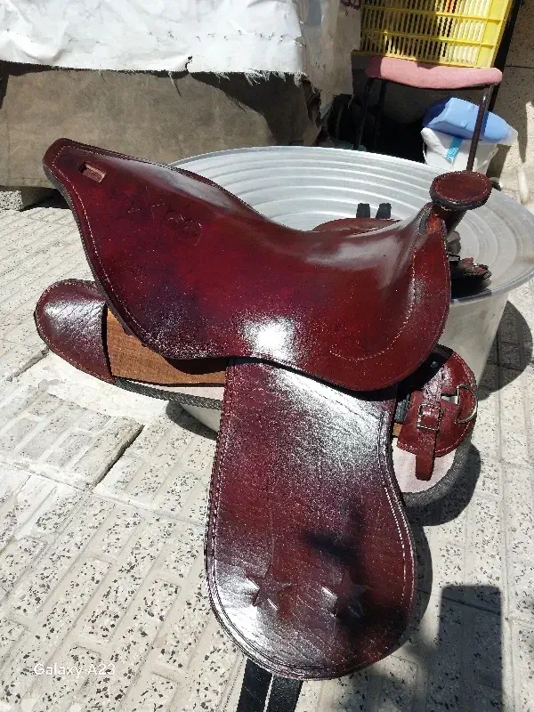 زین اسب|اسب و تجهیزات اسب‌سواری|اهر, |دیوار