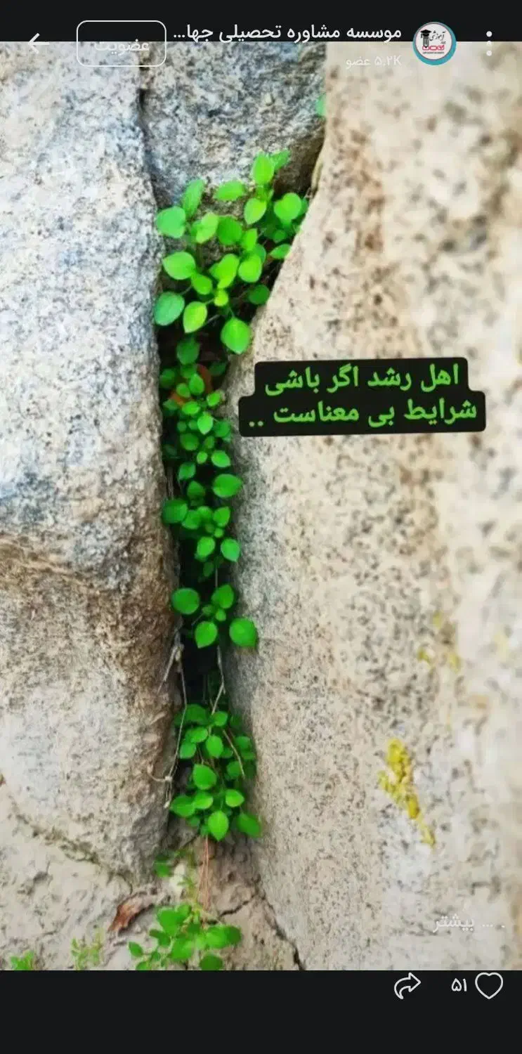 فروش زمین مسکونی|فروش زمین و ملک کلنگی|نوبندگان, |دیوار