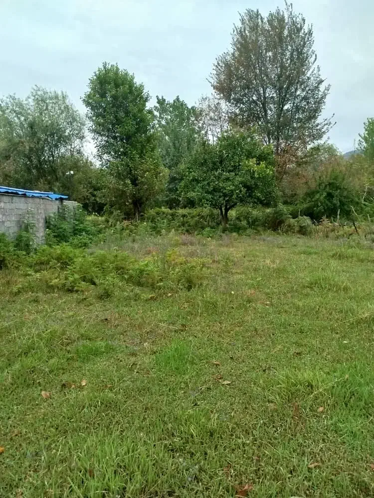 فروش زمین مسکونی با پروانه ساخت|فروش زمین و ملک کلنگی|شاندرمن, |دیوار