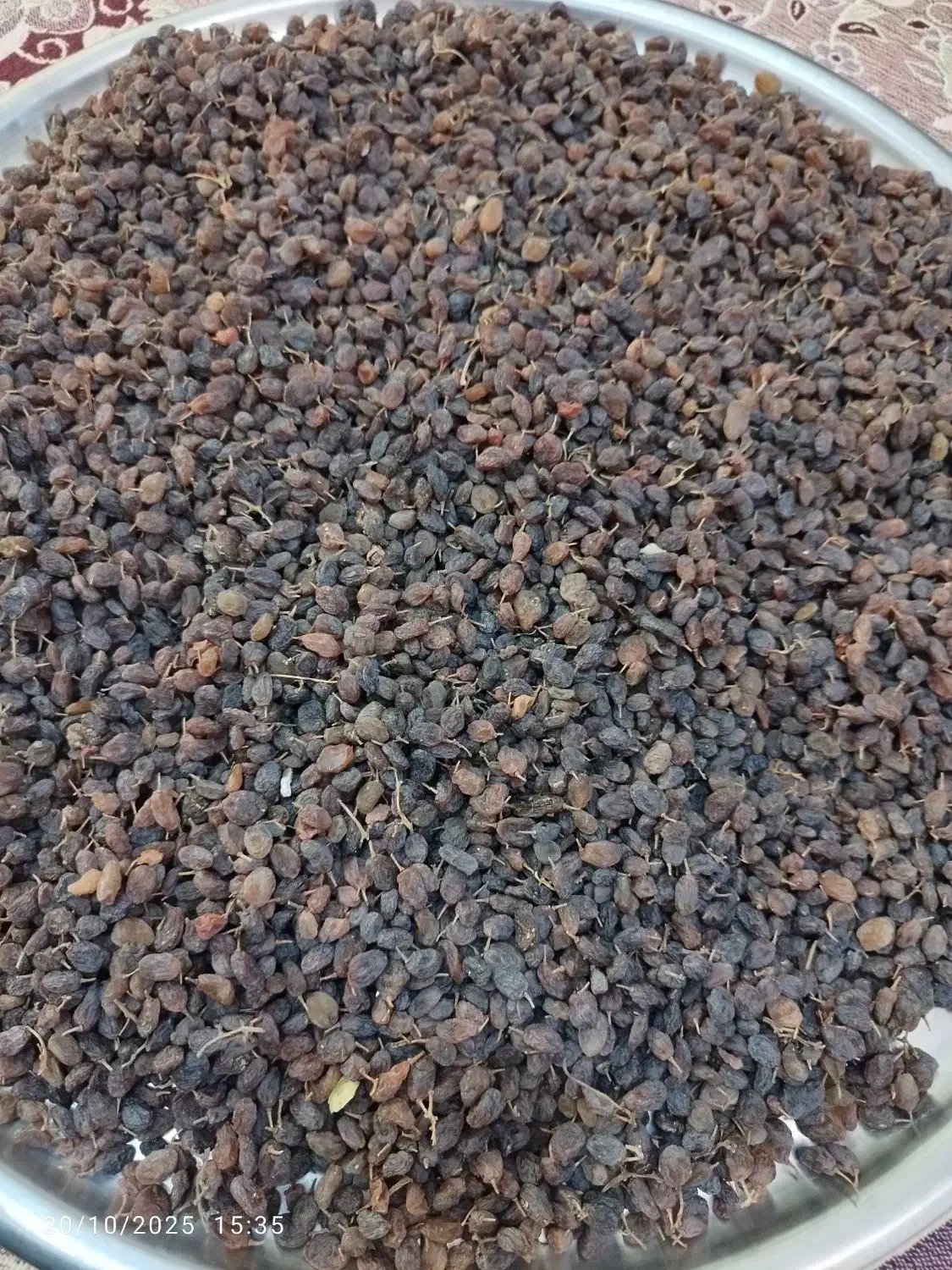 کشمش آفتابی|خوردنی و آشامیدنی|نهاوند, |دیوار