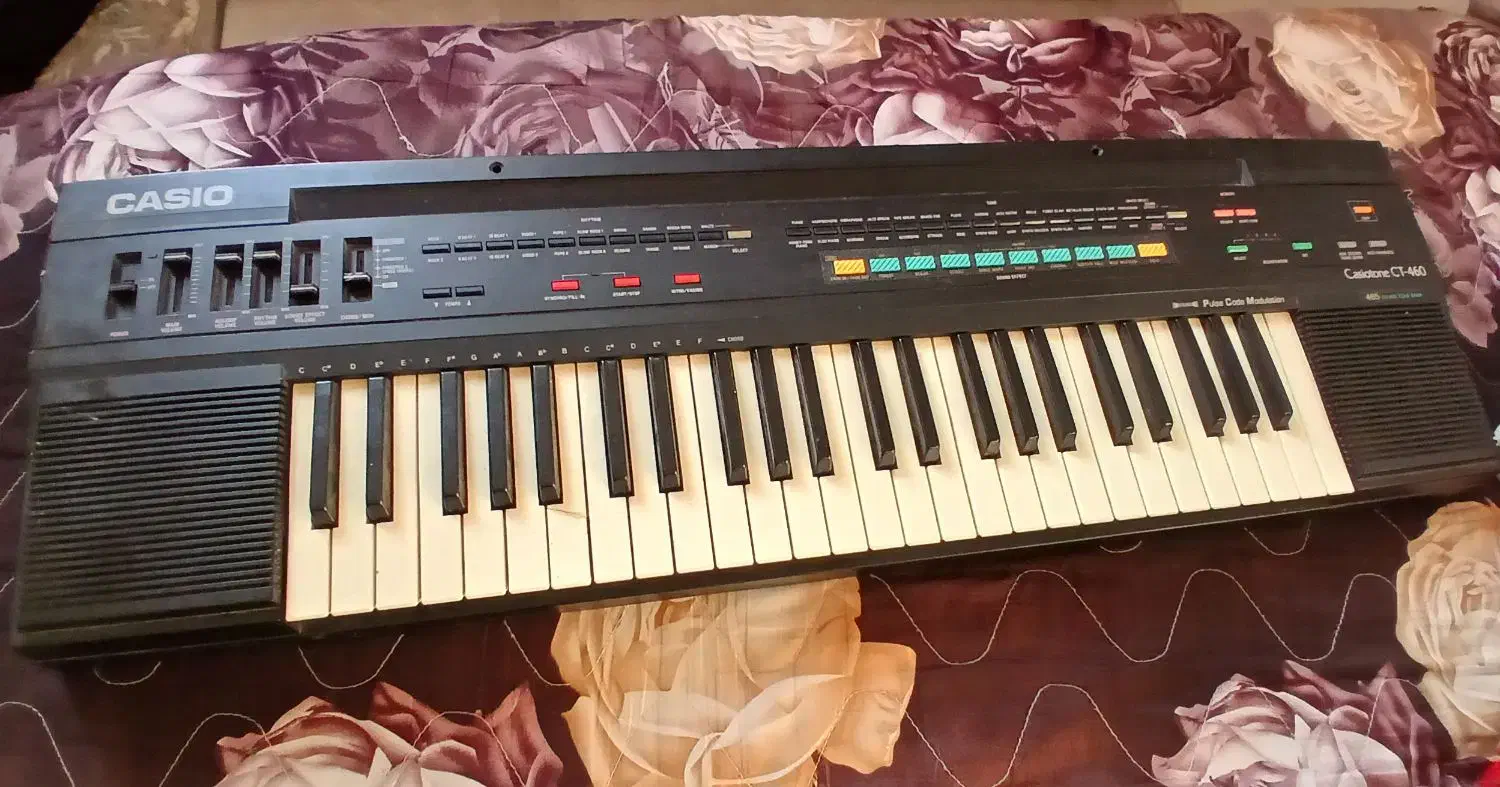 کاسیو آموزشی|پیانو، کیبورد، آکاردئون|رشت, پل تالشان|دیوار