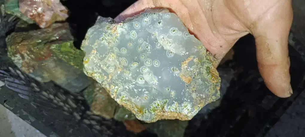 کلکسیونی|کلکسیون اشیاء عتیقه|کرمان, |دیوار