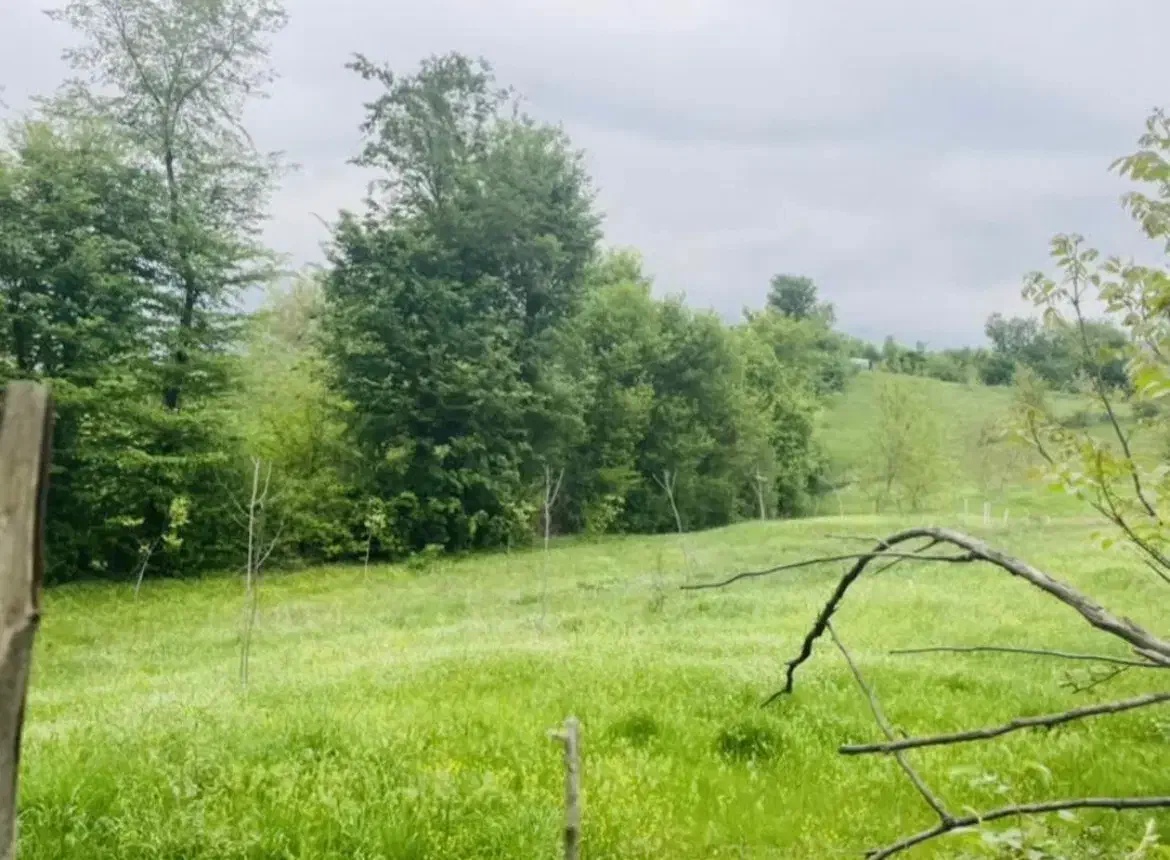 زمین مسکونی|فروش زمین و ملک کلنگی|بره‌سر, |دیوار