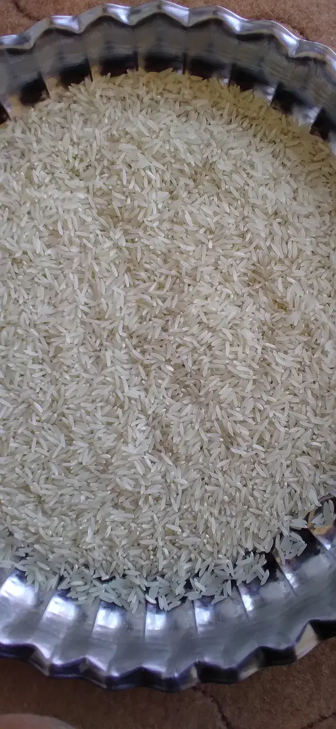 برنج فجردرجه۱آبیاری شده باآب چشمه دهنه چشمه ساران|خوردنی و آشامیدنی|نوده خاندوز, |دیوار