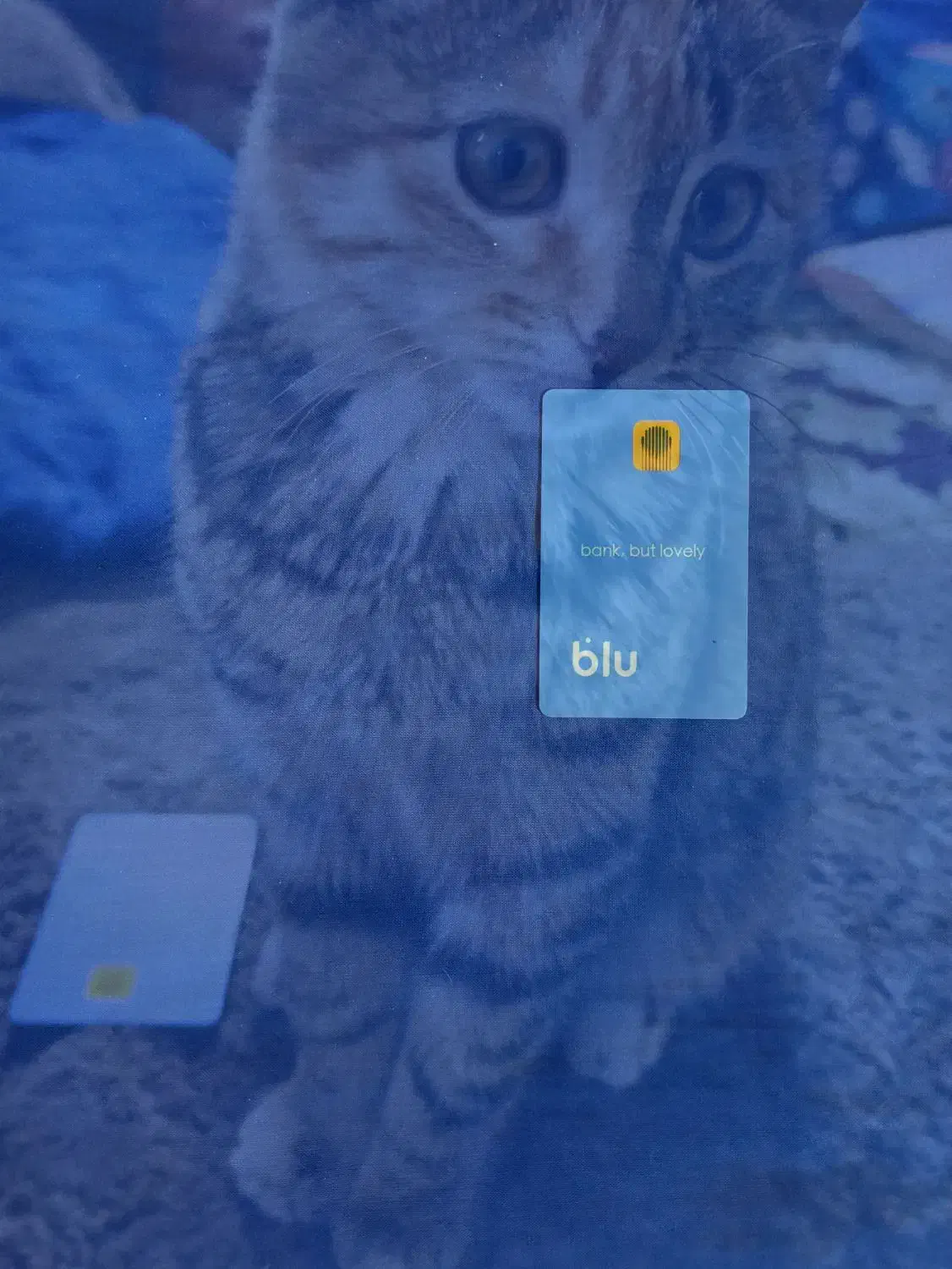 هدیه بلو 200تومان|کارت هدیه و تخفیف|مشهد, هنرستان|دیوار