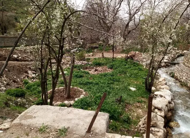 فروش یک قطعه زمین|فروش زمین و ملک کلنگی|پاوه, |دیوار