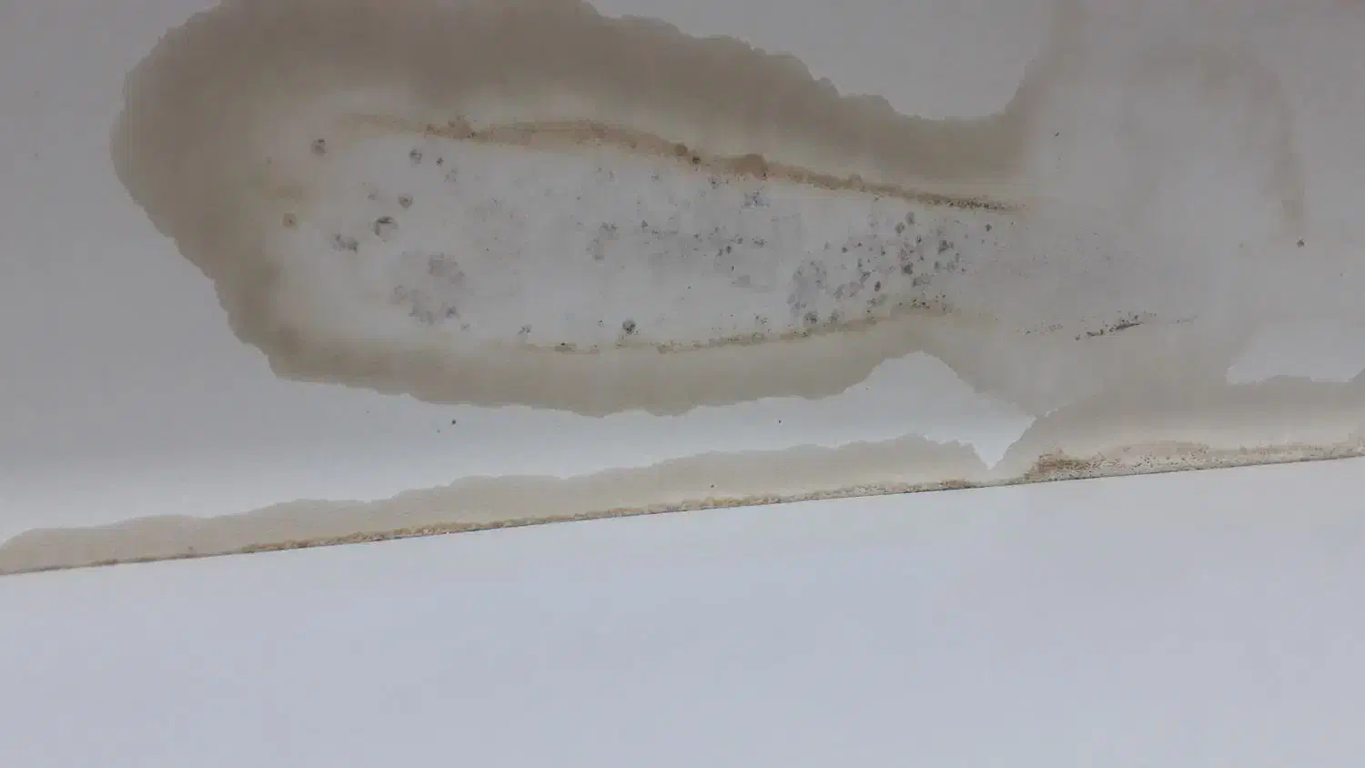 ویترین دیواری چوبی|کتابخانه، شلف، قفسه‌های دیواری|مشهد, رده|دیوار