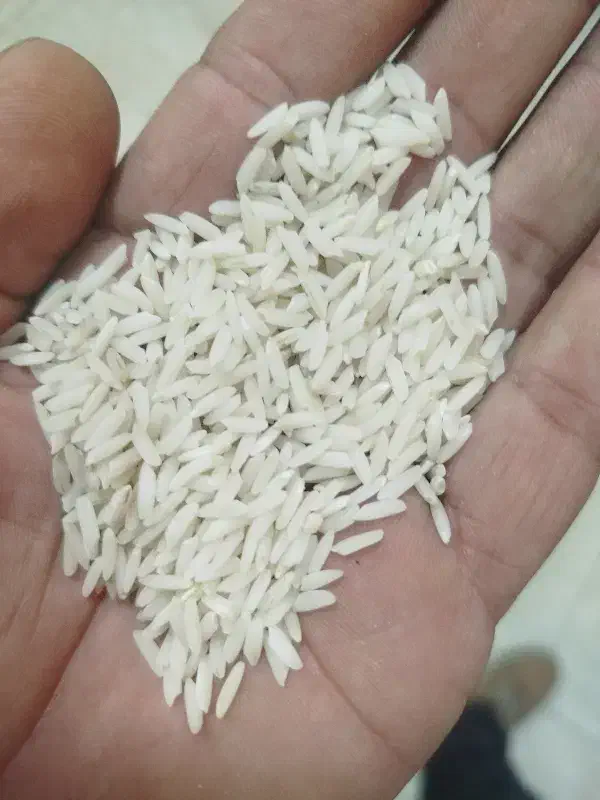 ب رنج نیم دانه و درشت|خوردنی و آشامیدنی|شاهین دژ, |دیوار