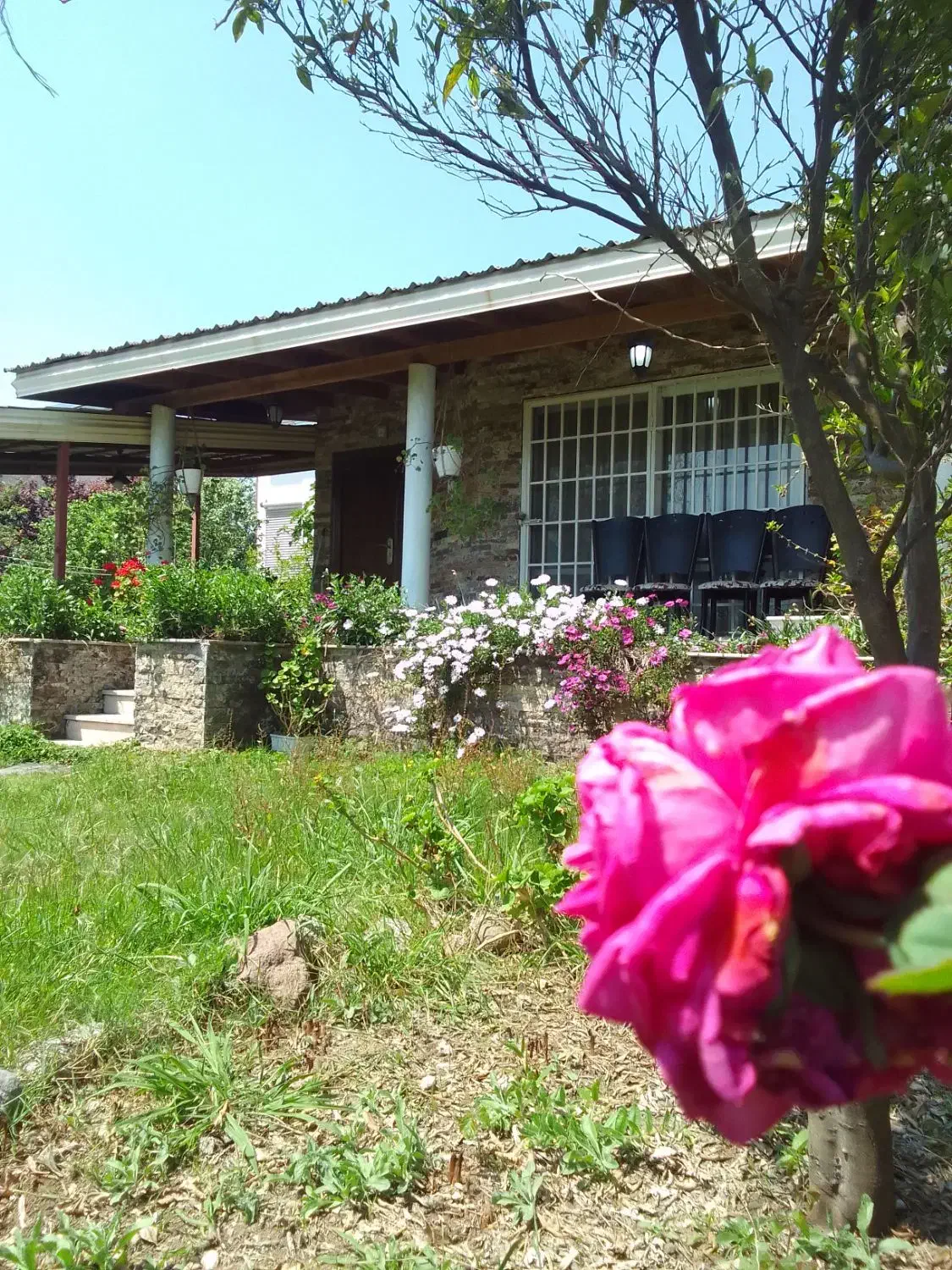 ویلا باغ دربست دنج و آرام|اجارهٔ کوتاه‌مدت ویلا و باغ|نشتارود, |دیوار