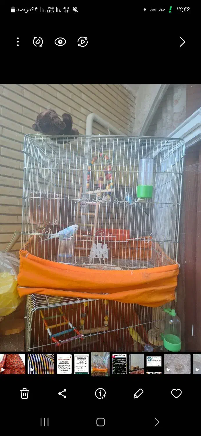 قفس بزرگ پرنده|لوازم جانبی حیوانات|شیراز, شهرک گلستان|دیوار