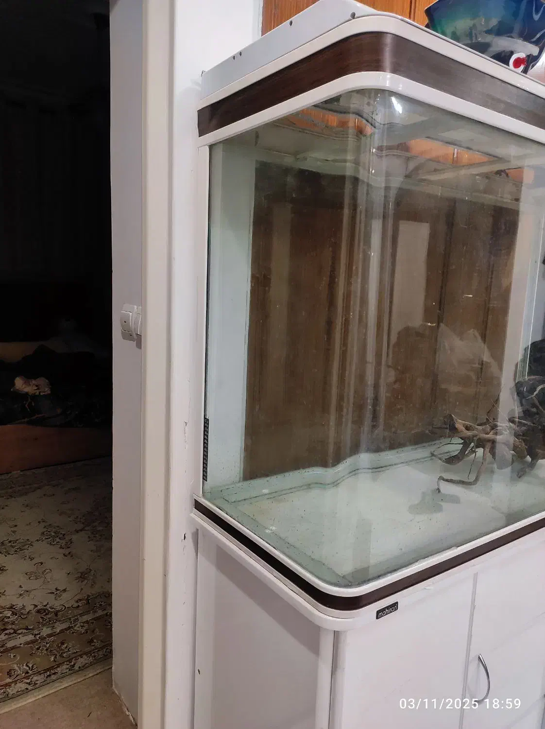 آکواریوم بزرگ شرکت ماهیران|ماهی|مشهد, فارغ التحصیلان|دیوار