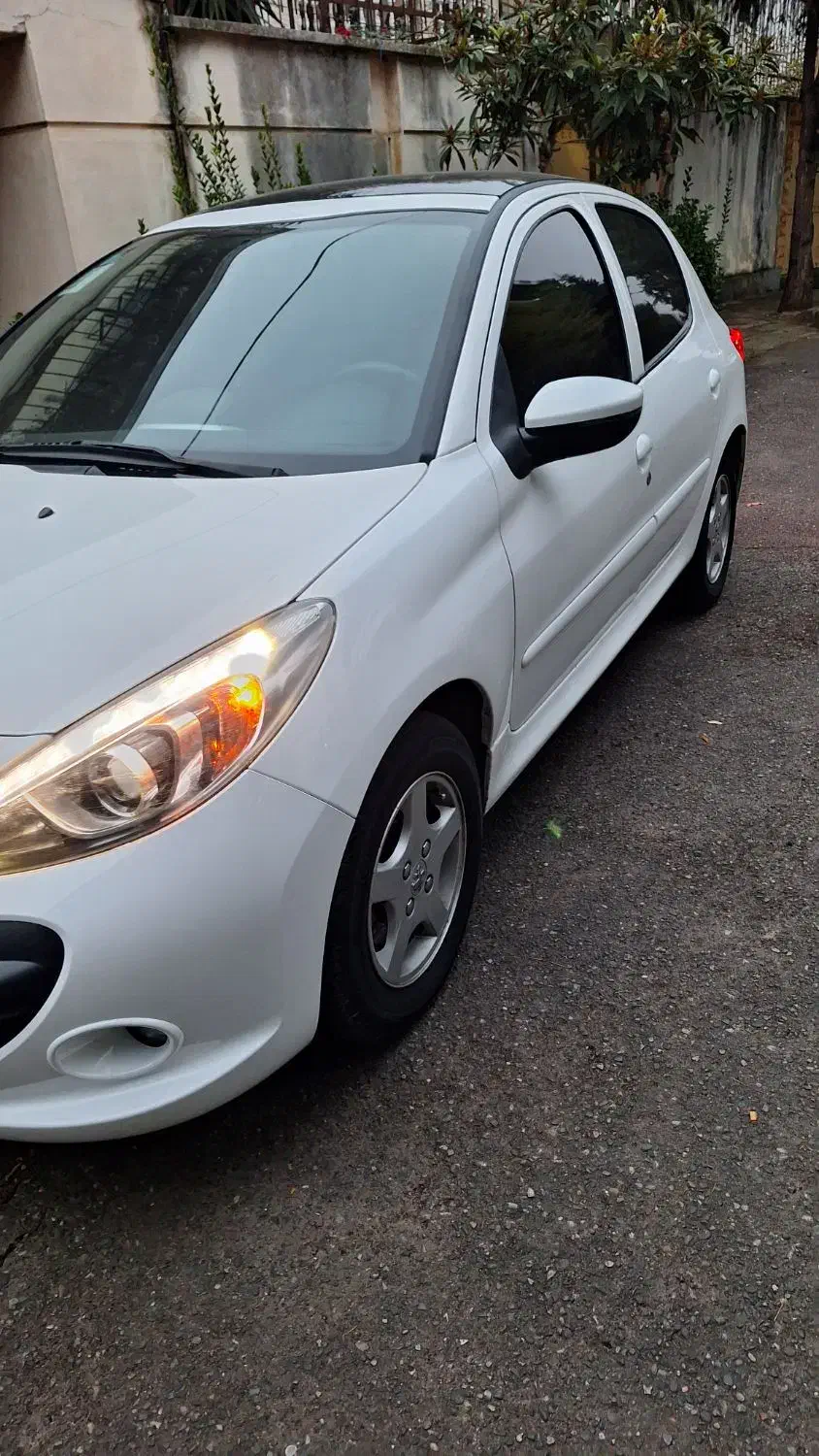 207 سقف پانا دنده|خودرو سواری و وانت|رشت, دباغیان|دیوار