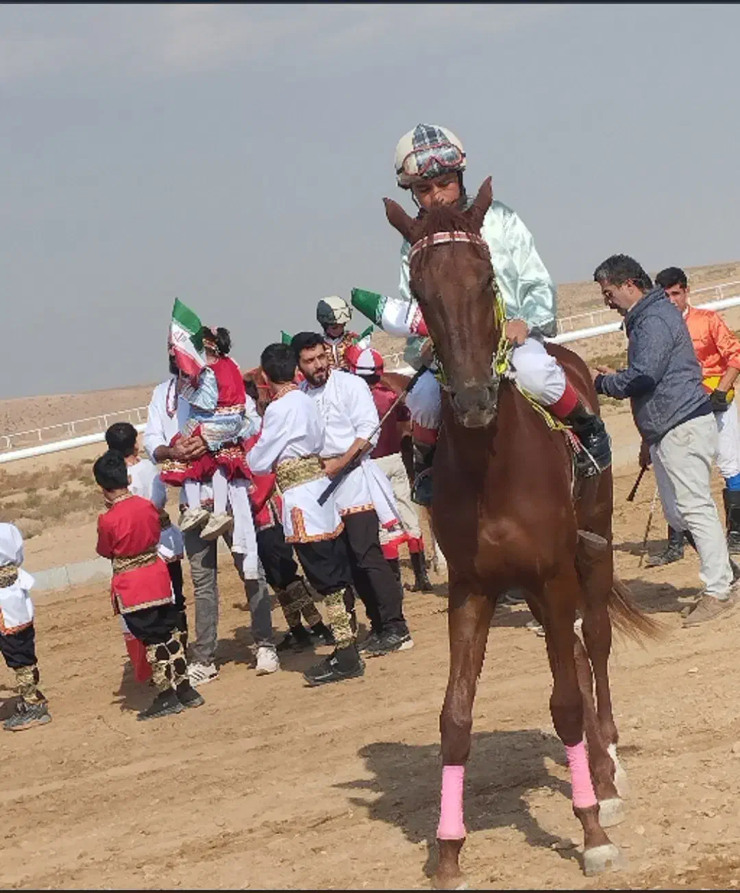 اسب ترکمن نریون|اسب و تجهیزات اسبسواری|جوین, |دیوار