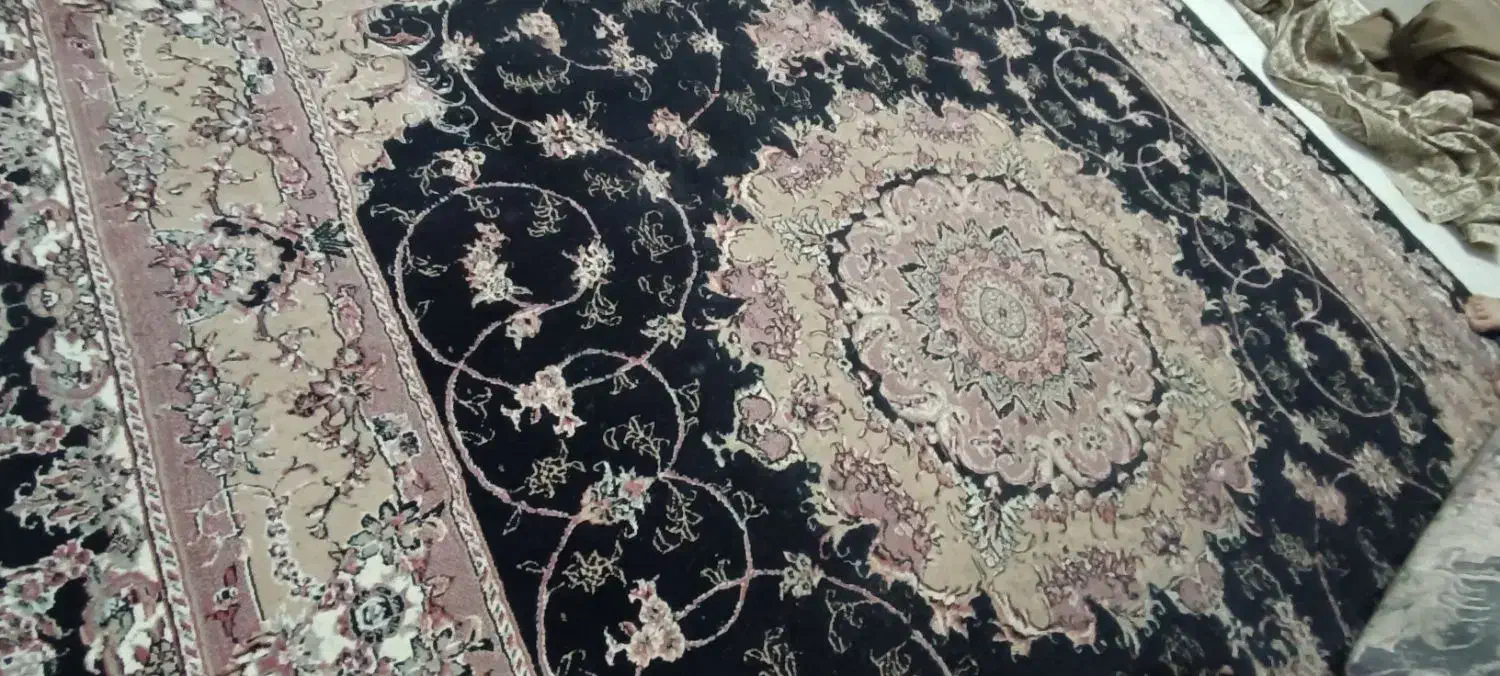 فرش 500 شانه|فرش|سبزوار, رضوان|دیوار