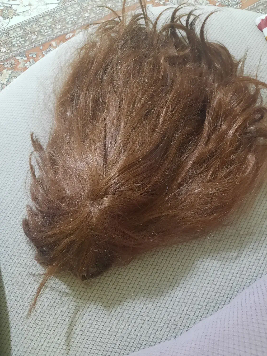 کلاه گیس خارجی نو|آرایشی، بهداشتی، درمانی|پرند, فاز ۲|دیوار