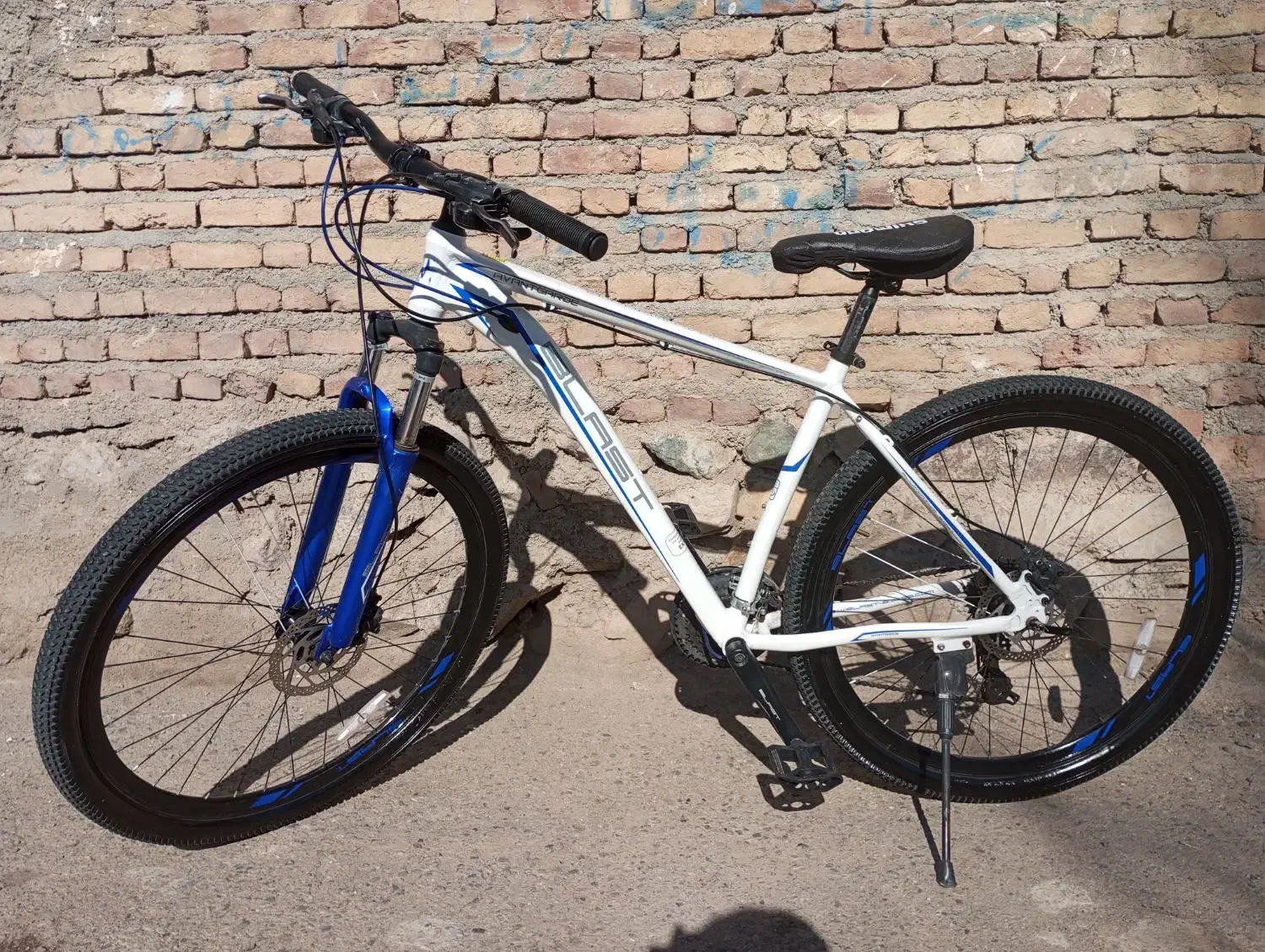 دوچرخه 29 بلست|دوچرخه، اسکیت، اسکوتر|اهر, |دیوار