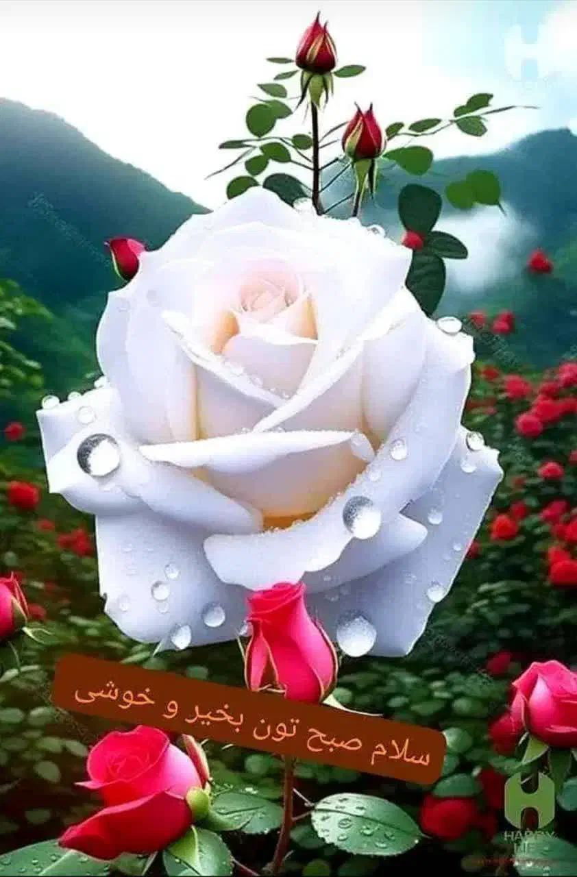 فروش سیم کارت دائمی قدیمی رند|سیمکارت|شیراز, فخرآباد (دروازه کازرون)|دیوار