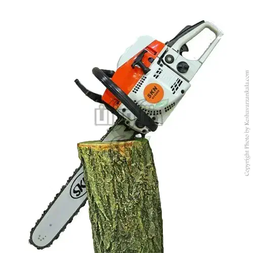 خدمات باغداری|خدمات باغبانی و درختکاری|آمل, |دیوار