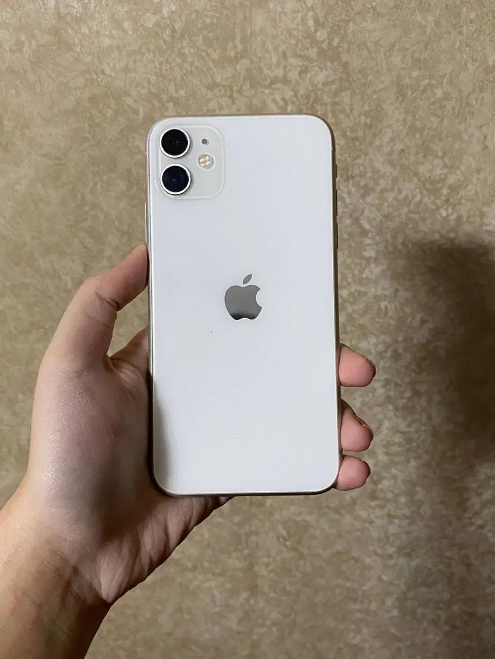 iPhone 11|موبایل|تبریز, |دیوار