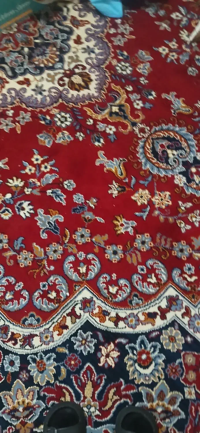 فرش ۱۲متری قرمزرنگ|فرش|ساری, |دیوار