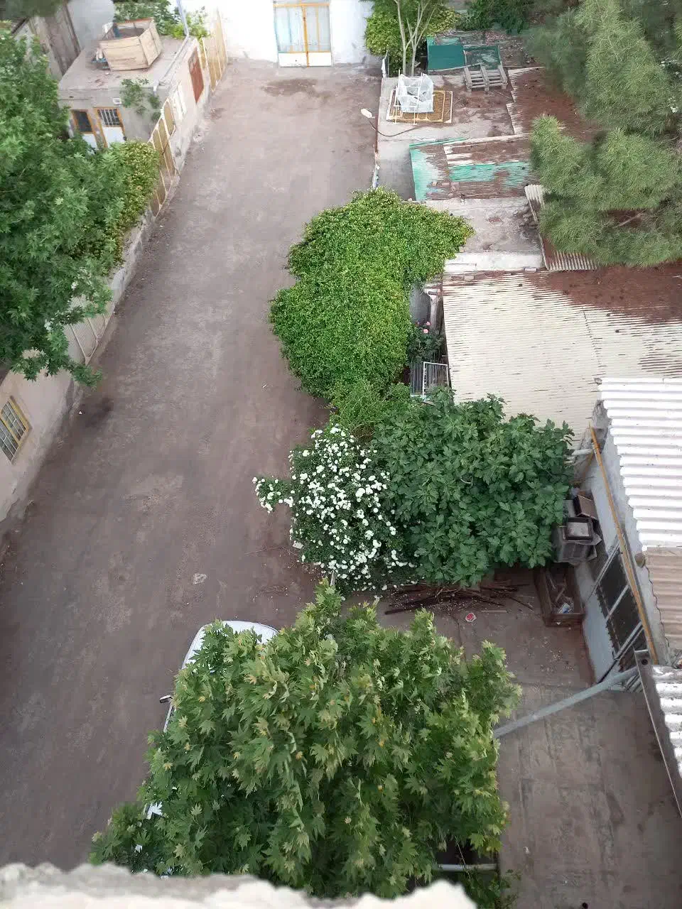 رهن و اجاره کارگاه تولیدی|اجارهٔ مغازه و غرفه|نیشابور, میدان حافظ|دیوار