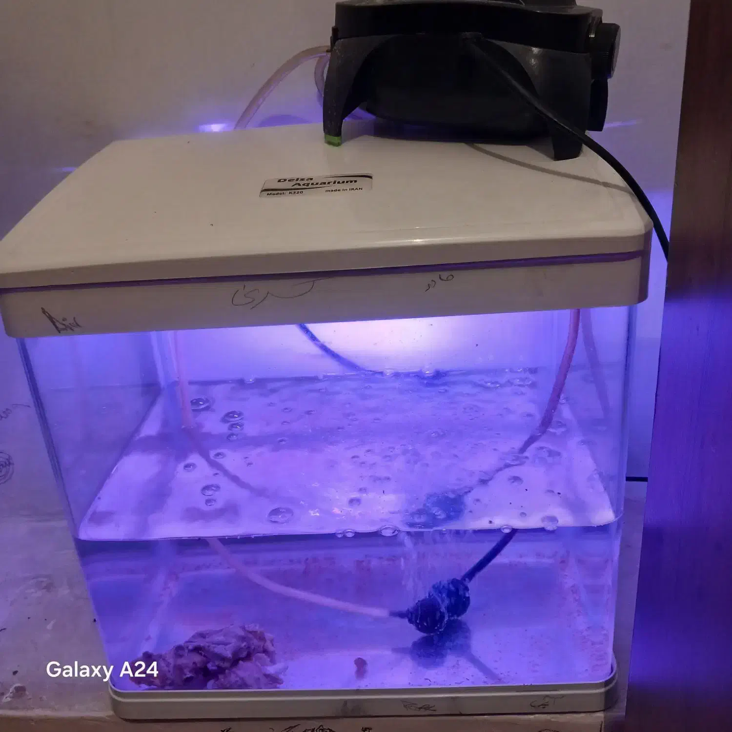 اکواریوم. درسال شرکتی|ماهی|مرودشت, ابوذر جنوبی|دیوار