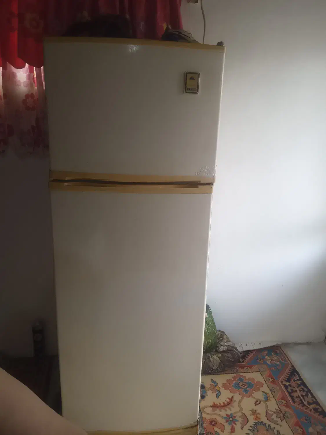 یخچال فریزر بادی البرز|یخچال و فریزر|نوشهر, |دیوار