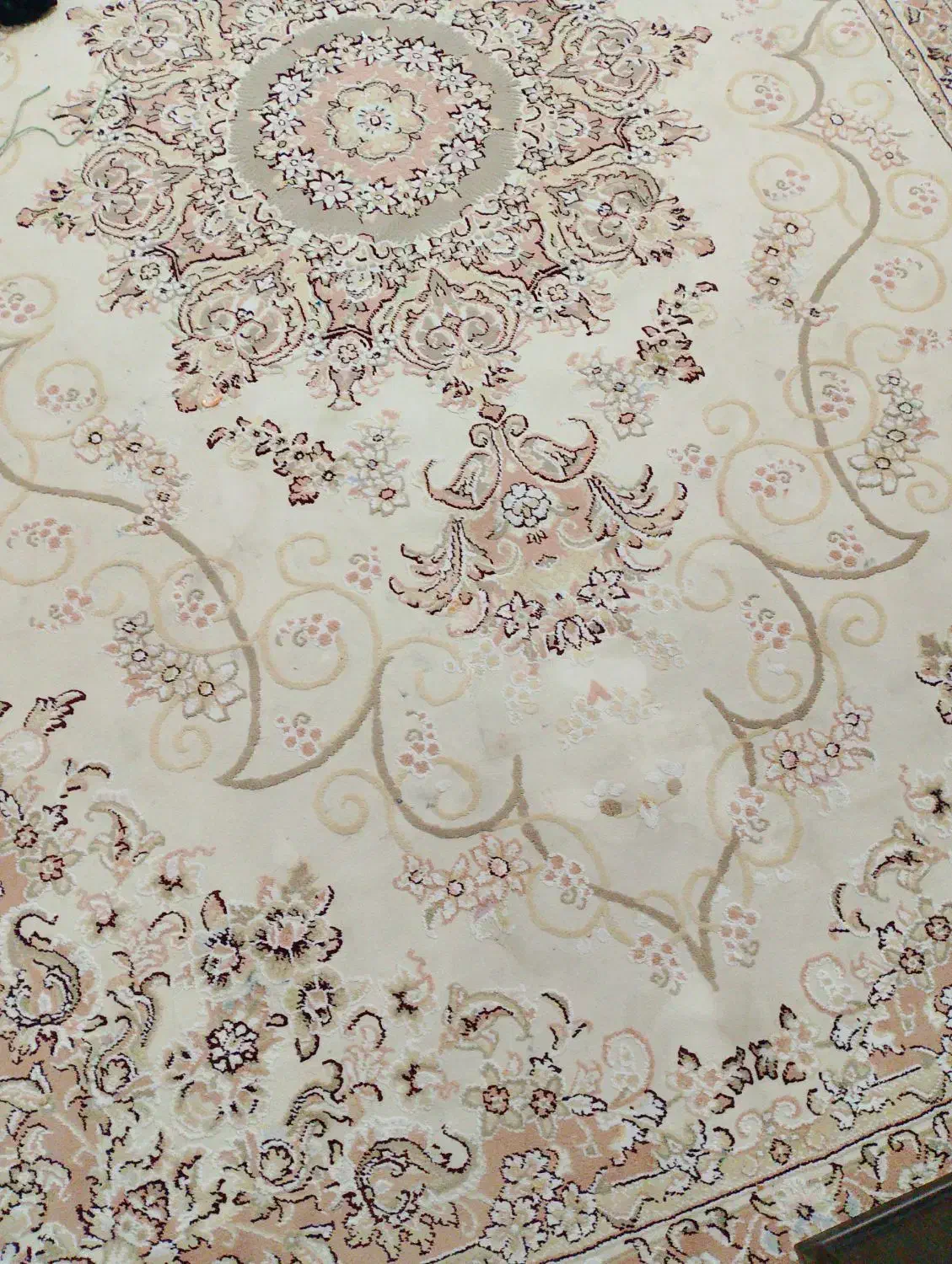 فرش نگین مشهد|فرش|کرج, شهرک نهال و بذر|دیوار