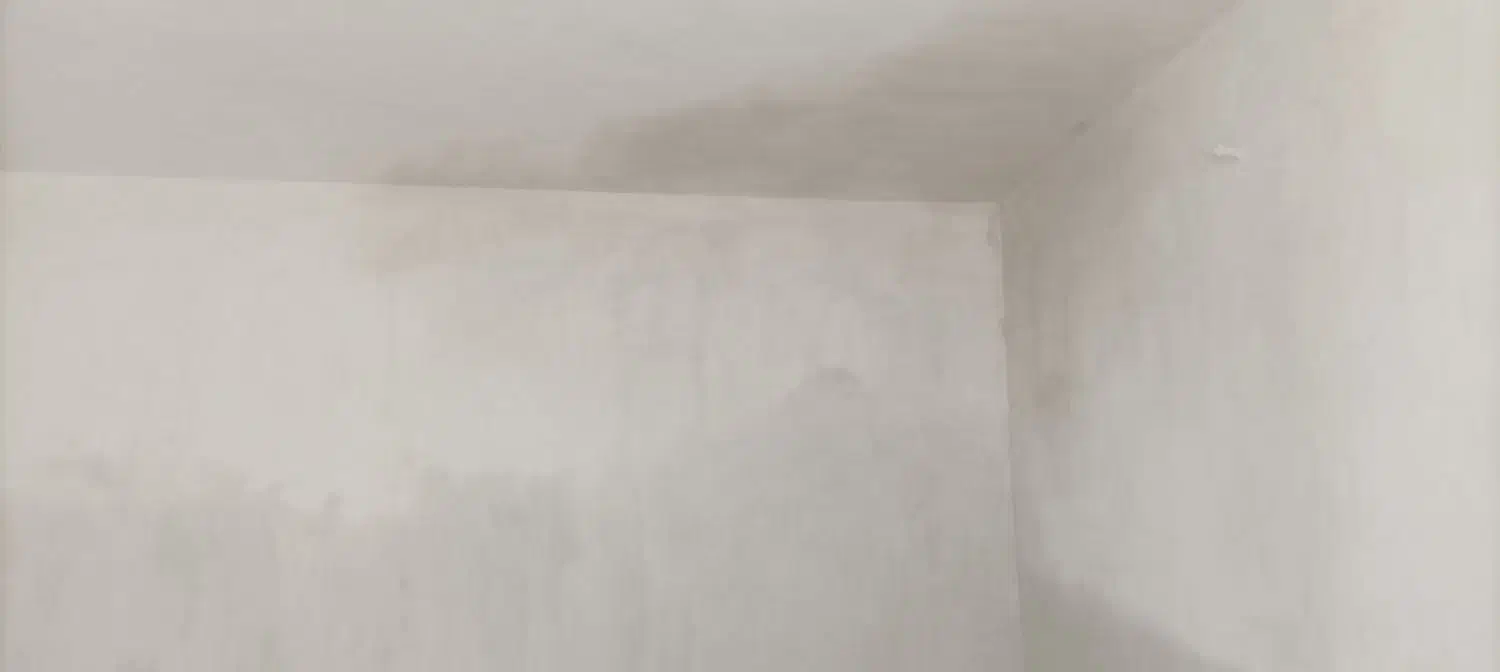 سفید کاری و گچ خاک|خدمات پیشه و مهارت|فیروزآباد (فارس), |دیوار