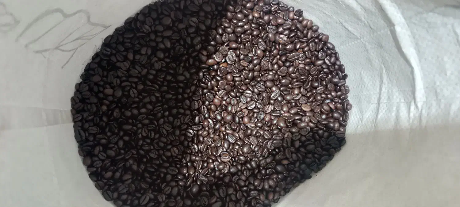 انواع دان قهوه و شکلات پودری جات کیفیت قیمت عمده|خوردنی و آشامیدنی|شیراز, بازار|دیوار