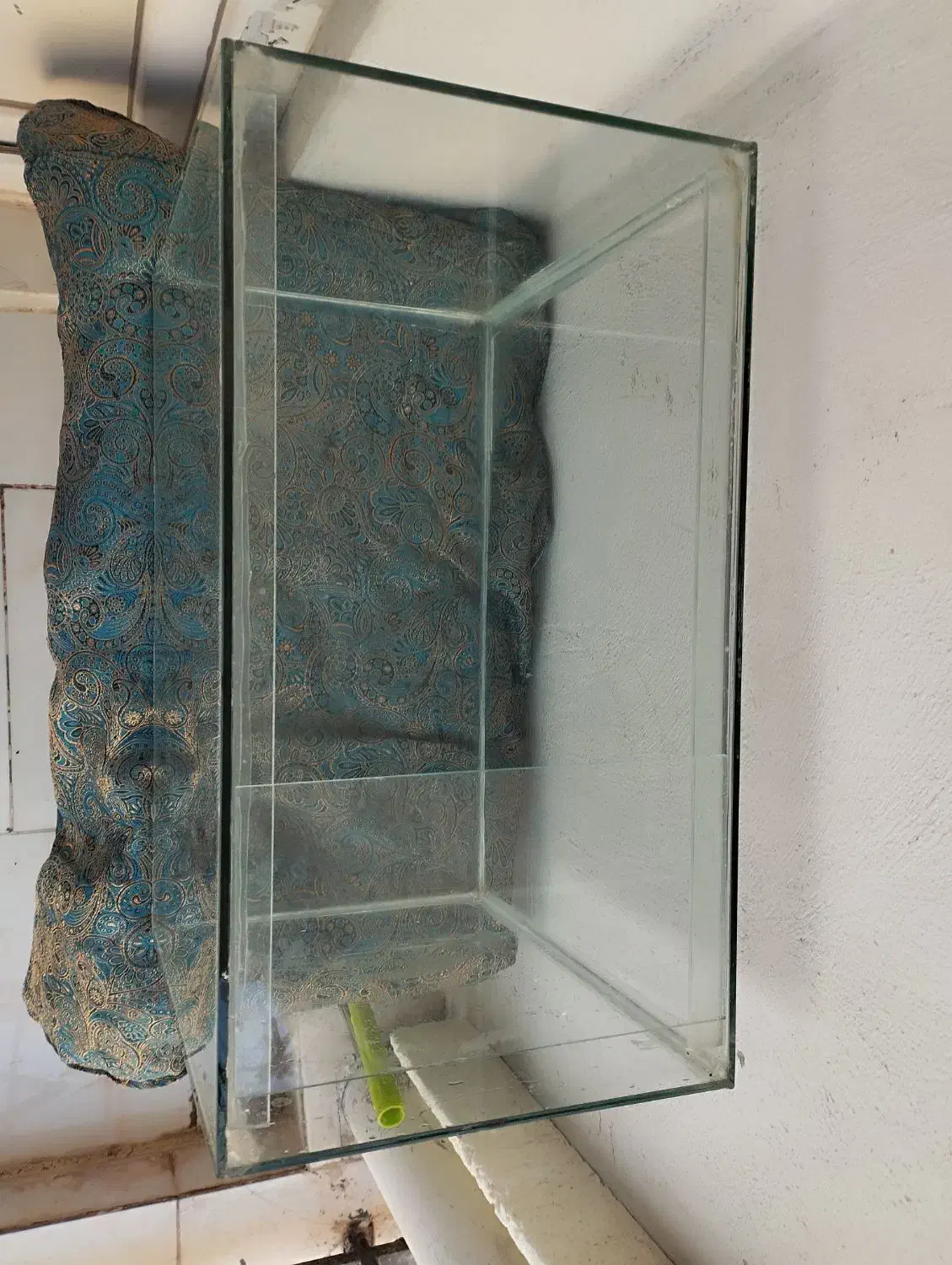 آکواریوم بزرگ و سالم|ماهی|پردیس, فاز ۱۱|دیوار