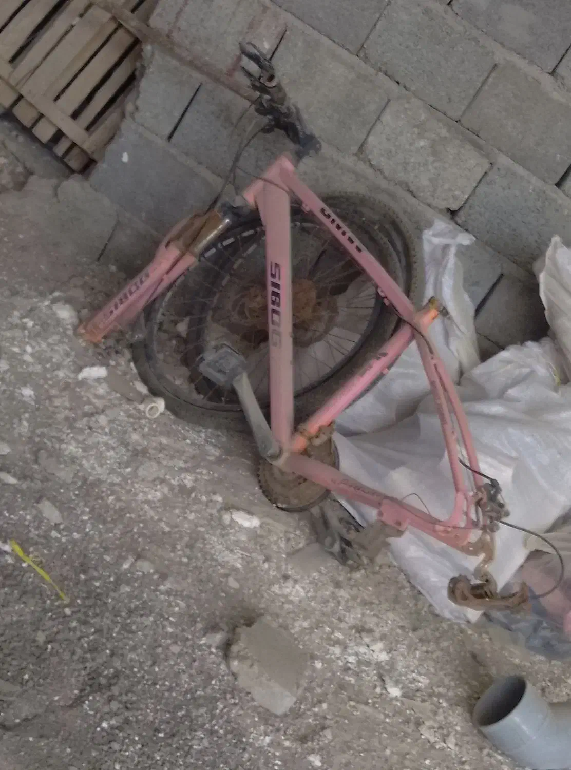 دوچرخه|دوچرخه، اسکیت، اسکوتر|قشم, |دیوار