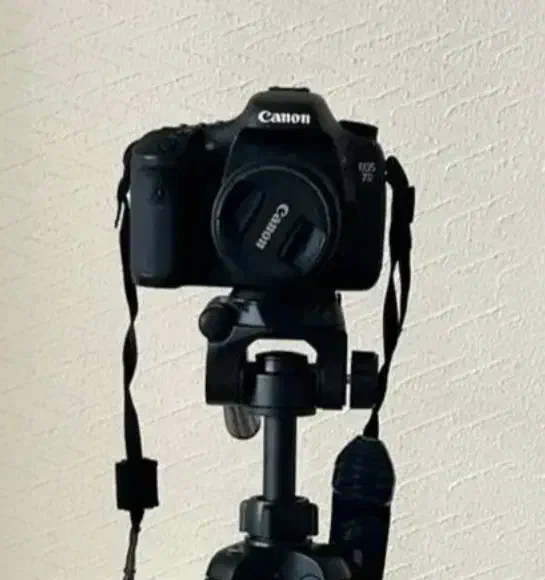 دوربین canon 7d mark2|دوربین عکاسی و فیلم‌برداری|تربت جام, میان جام|دیوار