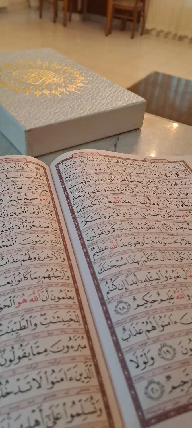 فال یلدایی با تخفیف ویژه|خدمات پذیرایی، مراسم|تهران, قیطریه|دیوار