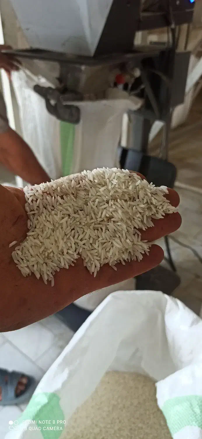 برنج ایرانی درجه یک|خوردنی و آشامیدنی|بهشهر, |دیوار