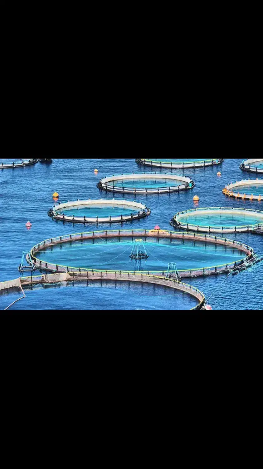 کارگر پرورش ماهی|استخدام سرایداری و نظافت|محمدشهر, عباس آباد|دیوار