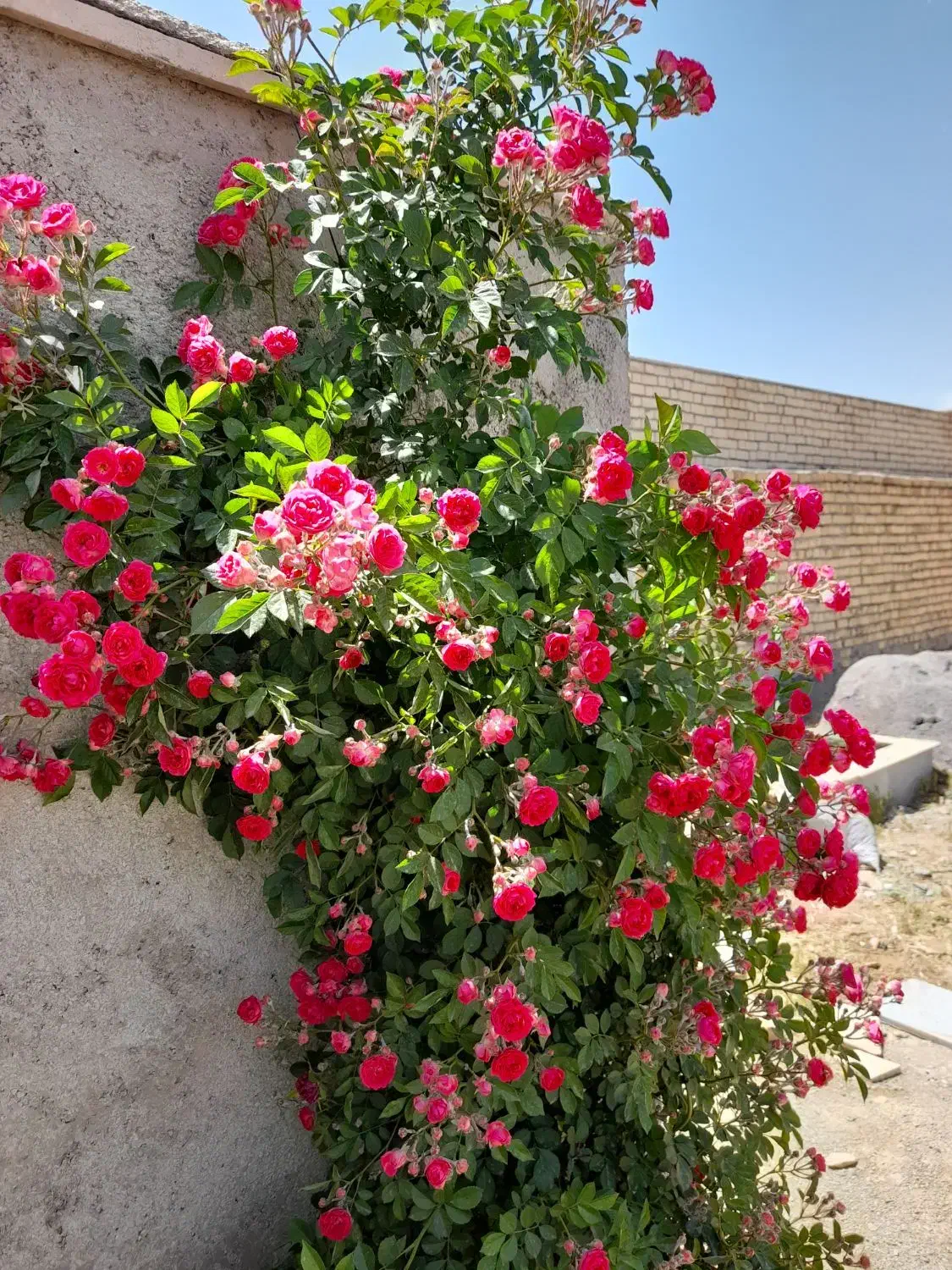 شهرک صنعتی گلپایگان|فروش دفتر صنعتی، کشاورزی، تجاری|گلپایگان, |دیوار